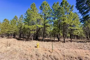 1921 Pine Canyon Dr, Happy Jack, AZ 86024 - Photo 1