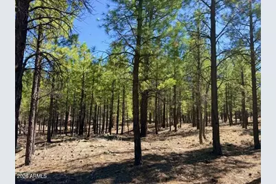 1947 Pine Canyon Drive #171, Happy Jack, AZ 86024 - Photo 2