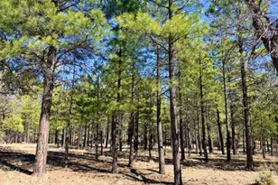 1947 Pine Canyon Dr, Happy Jack, AZ 86024 - Photo 1