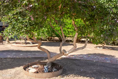 1916 N Jay Street, Chandler, AZ 85225 - Photo 44