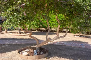 1916 N Jay St, Chandler, AZ 85225 - Photo 42