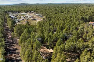 3622 Bear Trail, Lakeside, AZ 85929 - Photo 46