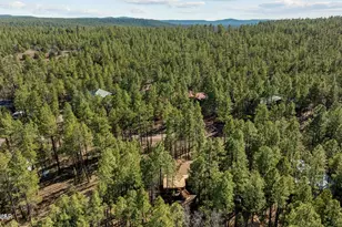 3622 Bear Trail, Lakeside, AZ 85929 - Photo 48