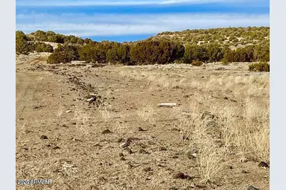 Tbd Co Rd 5150  1.22 Acres -- #-, Concho, AZ 85924 - Photo 8