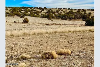 Tbd Co Rd 5150  1.22 Acres -- #-, Concho, AZ 85924 - Photo 4