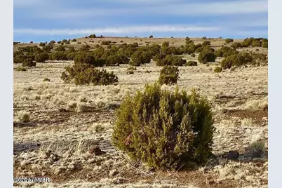 Tbd Co Rd 5150  1.22 Acres -- #-, Concho, AZ 85924 - Photo 1