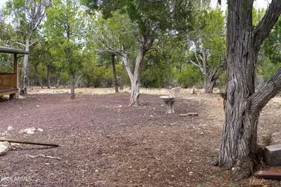 1769 Canyon Trail, Heber, AZ 85928 - Photo 38