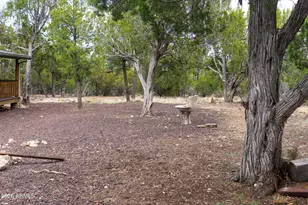 1769 Canyon Trail, Heber, AZ 85928 - Photo 38