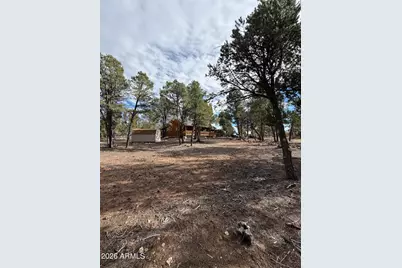 1769 Canyon Trail, Heber, AZ 85928 - Photo 42