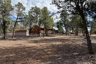 1769 Canyon Trail, Heber, AZ 85928 - Photo 42