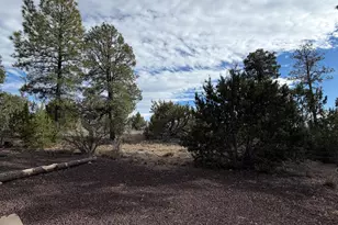 1769 Canyon Trail, Heber, AZ 85928 - Photo 46