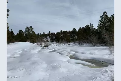 1884 E Artist Draw Road, Heber, AZ 85928 - Photo 14