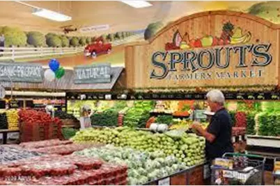 23821 N 85th Street, Scottsdale, AZ 85255 - Photo 44