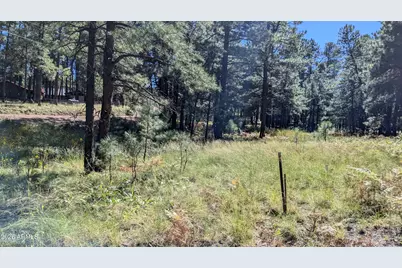 1878 Sheep Springs Road #427, Forest Lakes, AZ 85931 - Photo 16
