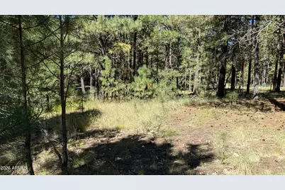 1878 Sheep Springs Road #427, Forest Lakes, AZ 85931 - Photo 8