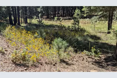 1878 Sheep Springs Road #427, Forest Lakes, AZ 85931 - Photo 20