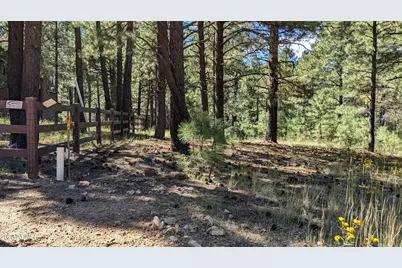 1878 Sheep Springs Road #427, Forest Lakes, AZ 85931 - Photo 6