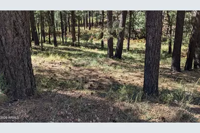 1878 Sheep Springs Road #427, Forest Lakes, AZ 85931 - Photo 1