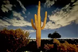 2449 W Sunrise Dr, Phoenix, AZ 85041 - Photo 90