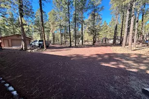 12808 E Crossbow Rd, Parks, AZ 86018 - Photo 4