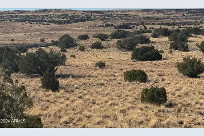 100 River Springs Ranch -- #100, Saint Johns, AZ 85936 - Photo 10