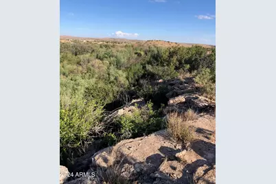 100 River Springs Ranch -- #100, Saint Johns, AZ 85936 - Photo 4