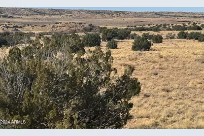 334 River Springs Ranch -- #334, Saint Johns, AZ 85936 - Photo 4