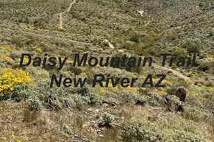 43422 N Hudson Trail, New River, AZ 85087 - Photo 44