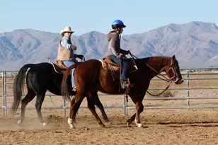30353 N 236th Dr, Wittmann, AZ 85361 - Photo 20