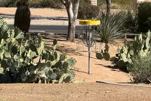 8304 E Inca St, Mesa, AZ 85207 - Photo 44