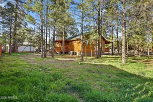 2900 Long Rifle Pl, Overgaard, AZ 85933 - Photo 24