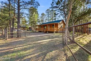 2900 Long Rifle Pl, Overgaard, AZ 85933 - Photo 4