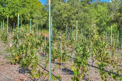 10580 E Swinging Bridge Lane, Cornville, AZ 86325 - Photo 74