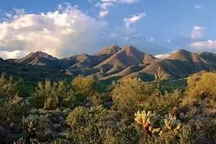 16420 N Thompson Peak Pkwy, Scottsdale, AZ 85260 - Photo 50