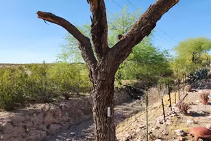 3540 N Chapparel Dr, Florence, AZ 85132 - Photo 50