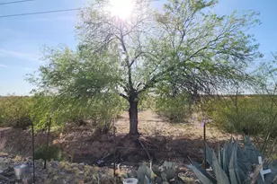 3540 N Chapparel Dr, Florence, AZ 85132 - Photo 56