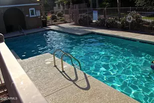 1918 E Harrison St, Gilbert, AZ 85295 - Photo 40