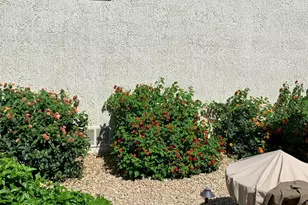 16118 W Vista N Dr, Sun City West, AZ 85375 - Photo 34