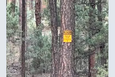 183 W Raven Road, Christopher Creek, AZ 85541 - Photo 26