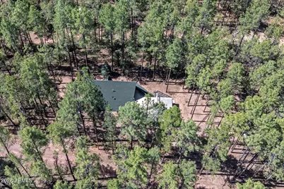 183 W Raven Road, Christopher Creek, AZ 85541 - Photo 56