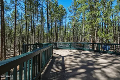 183 W Raven Road, Christopher Creek, AZ 85541 - Photo 64