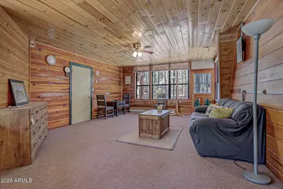 183 W Raven Road, Christopher Creek, AZ 85541 - Photo 36