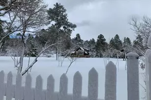 1884 E Artist Draw Rd, Heber, AZ 85928 - Photo 12