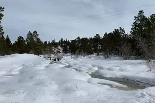 1884 E Artist Draw Rd, Heber, AZ 85928 - Photo 14