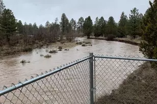 1884 E Artist Draw Rd, Heber, AZ 85928 - Photo 16