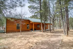 1573 Oxen --, Lakeside, AZ 85929 - Photo 18