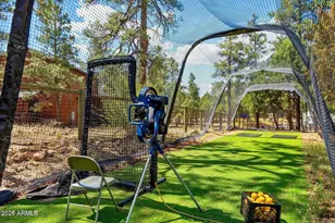 1459 Low Mountain Trail, Heber, AZ 85928 - Photo 70