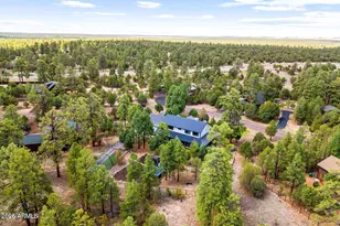 1459 Low Mountain Trail, Heber, AZ 85928 - Photo 74