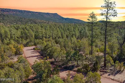 0000 Fawn #4 Drive, Pine, AZ 85544 - Photo 2