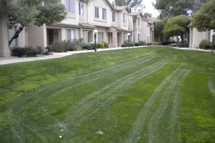 4114 E Union Hills Dr, Phoenix, AZ 85050 - Photo 2